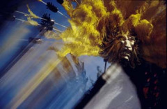 Sweep of the Head by Mark Buckley-Sharp