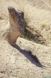 Devrent_01J_06