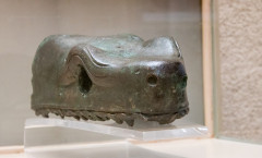 Serpent's Head