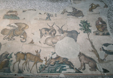 Floor mosaics