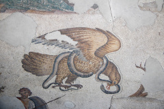 Eagle and Snake