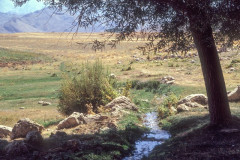 F1_1590