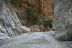 30D_IMG_1870