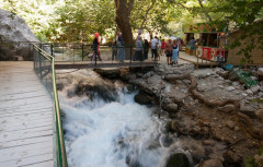 30D_IMG_7082